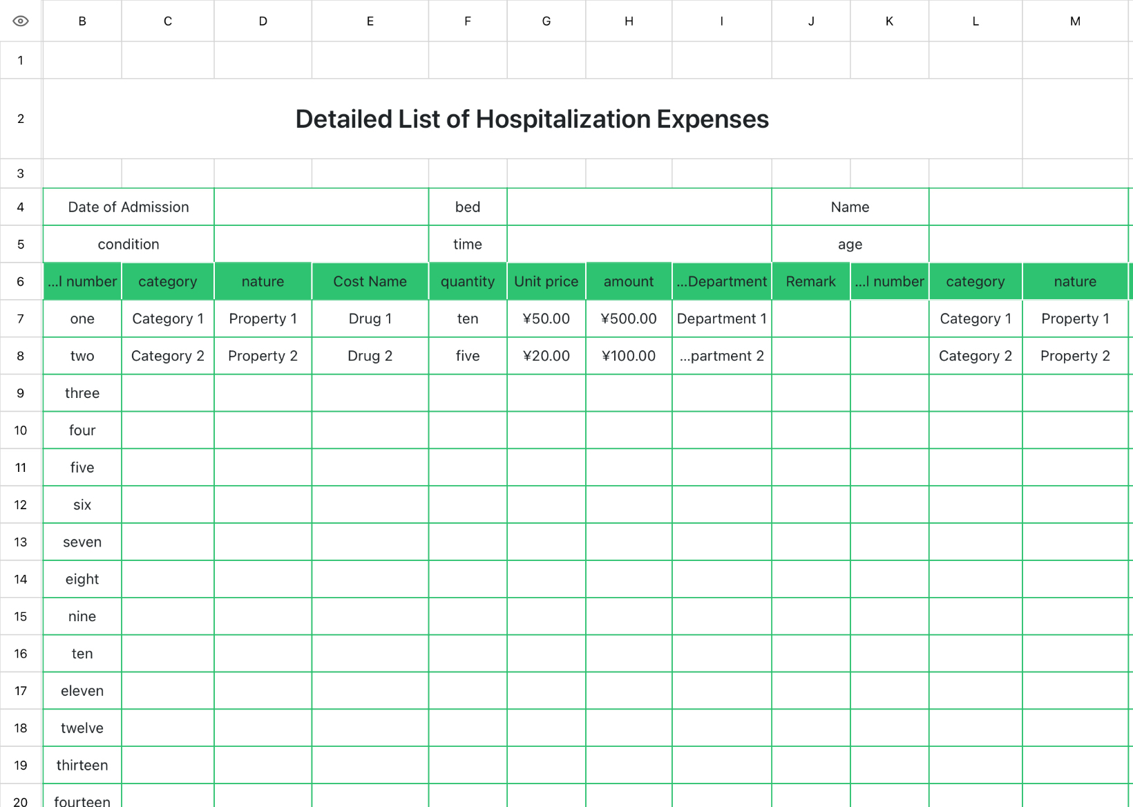 Detailed List of Hospitalization Expenses